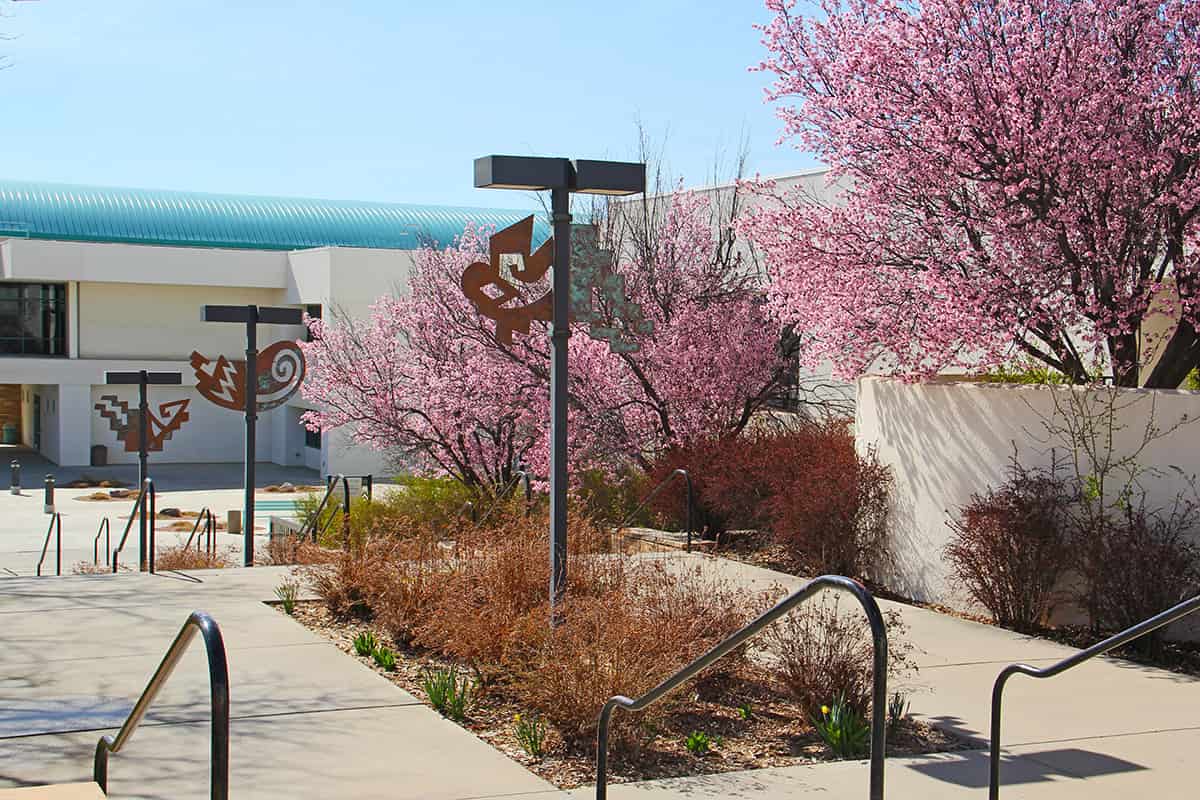 spring blossoms along the medallion walkway and stairs by learning commons plaza.