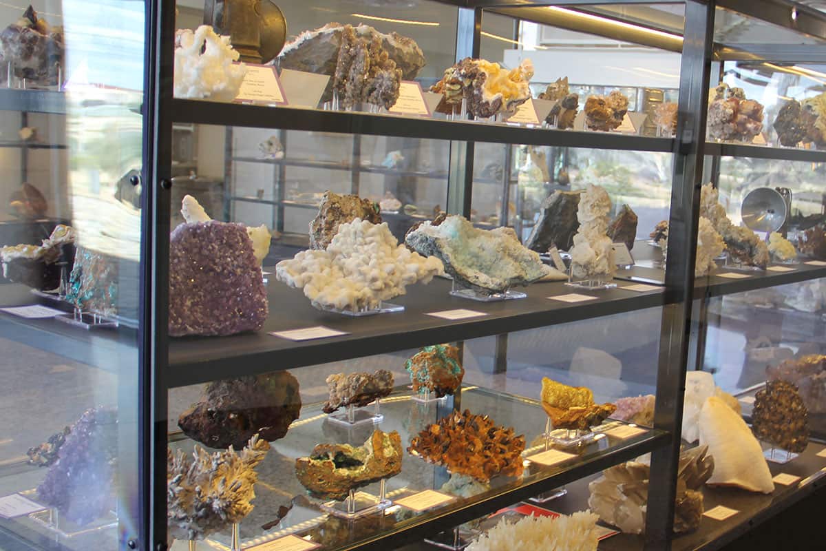 Display of Rocks in Dugan Museum