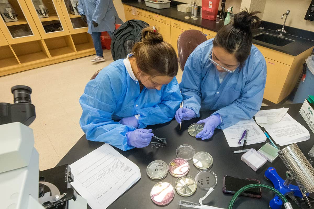 Two San Juan College students preparing samples in the biology lab