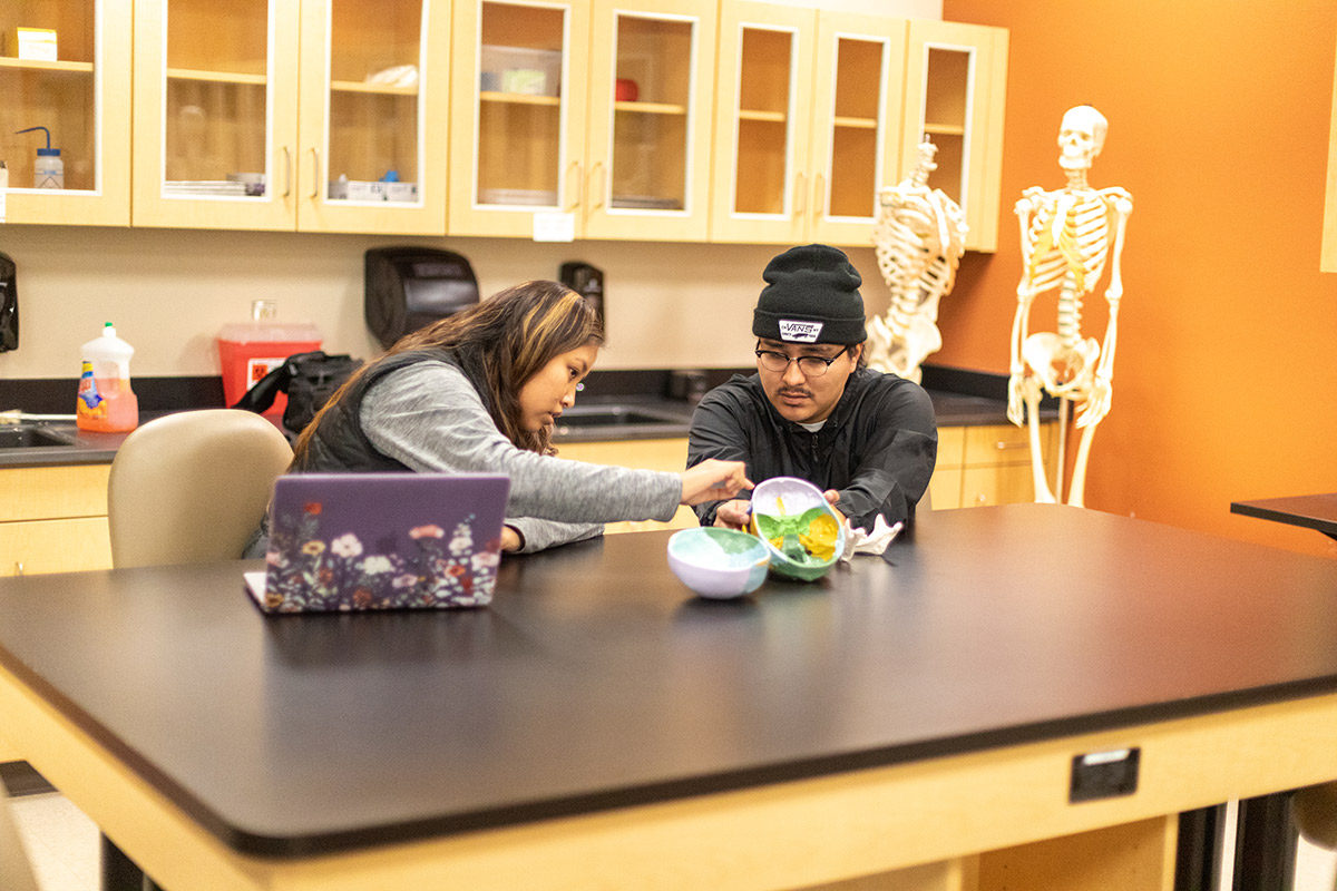 Students go over anatomy  models during class lab in human anatomy class.