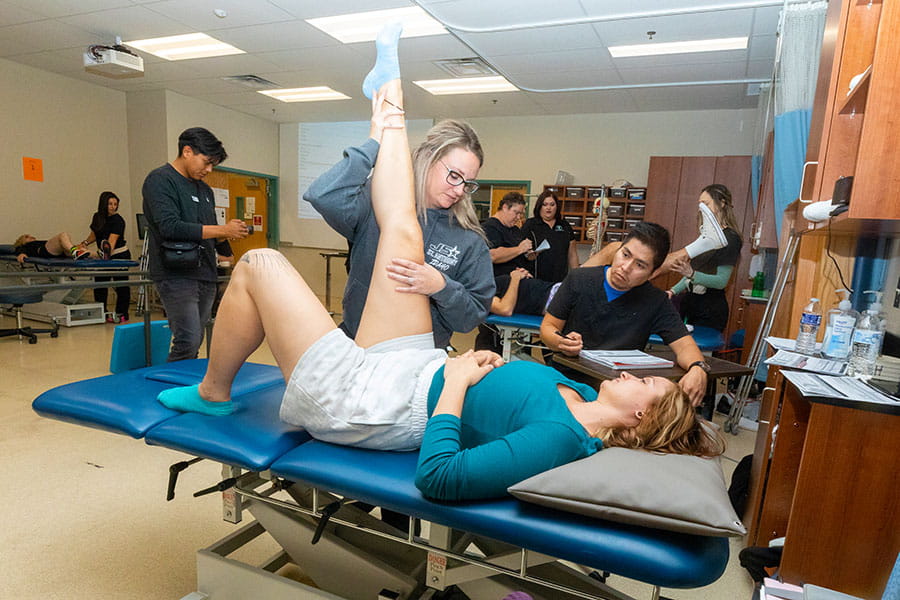 A student stretches the leg of another student laying on a therapy table