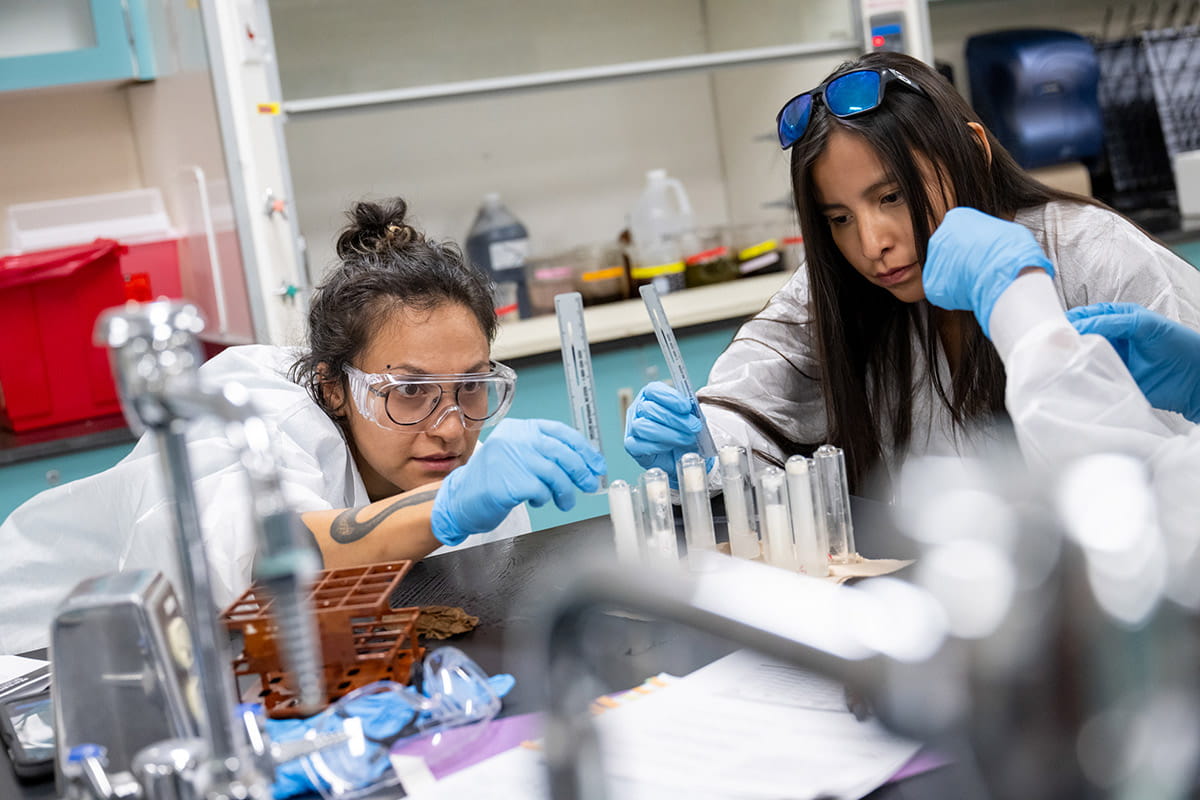Two SJC Students in the lab utilizing equipment